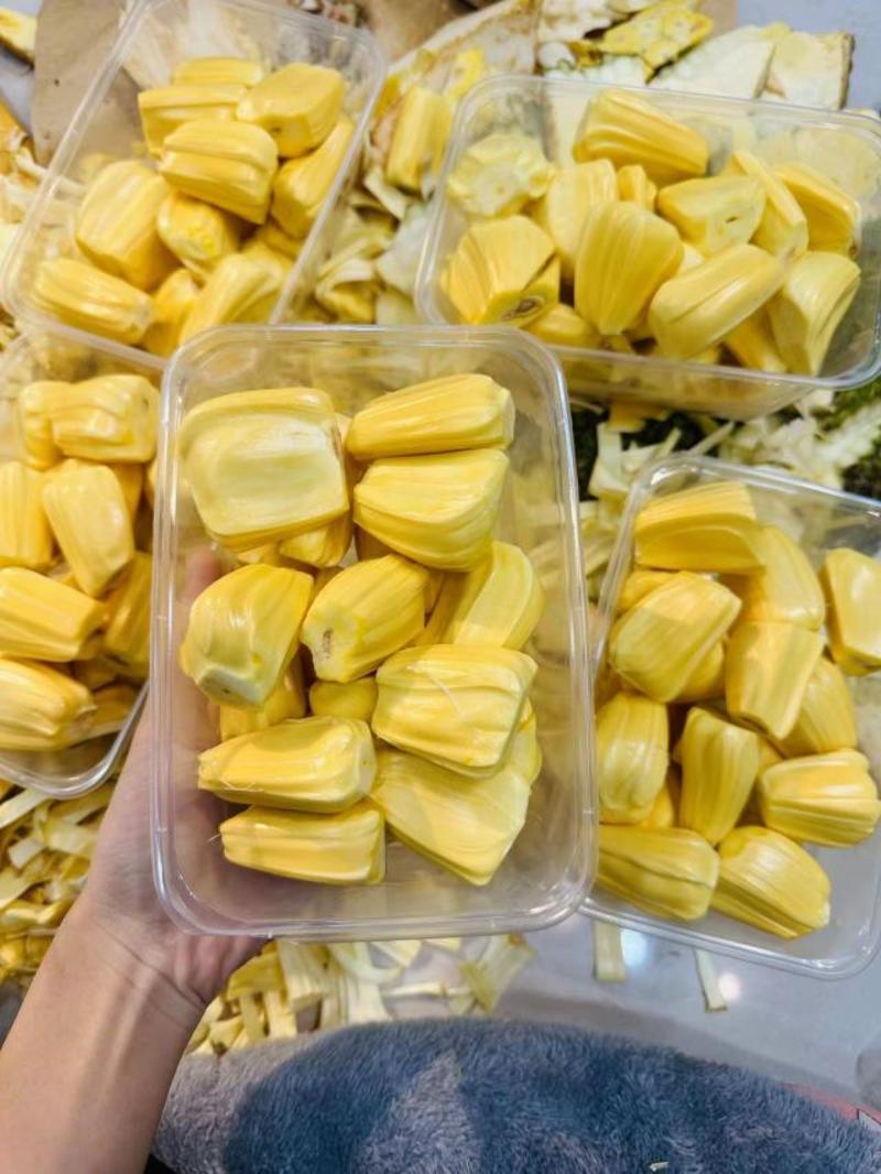 菠萝蜜越南红肉菠萝蜜包邮一件代发