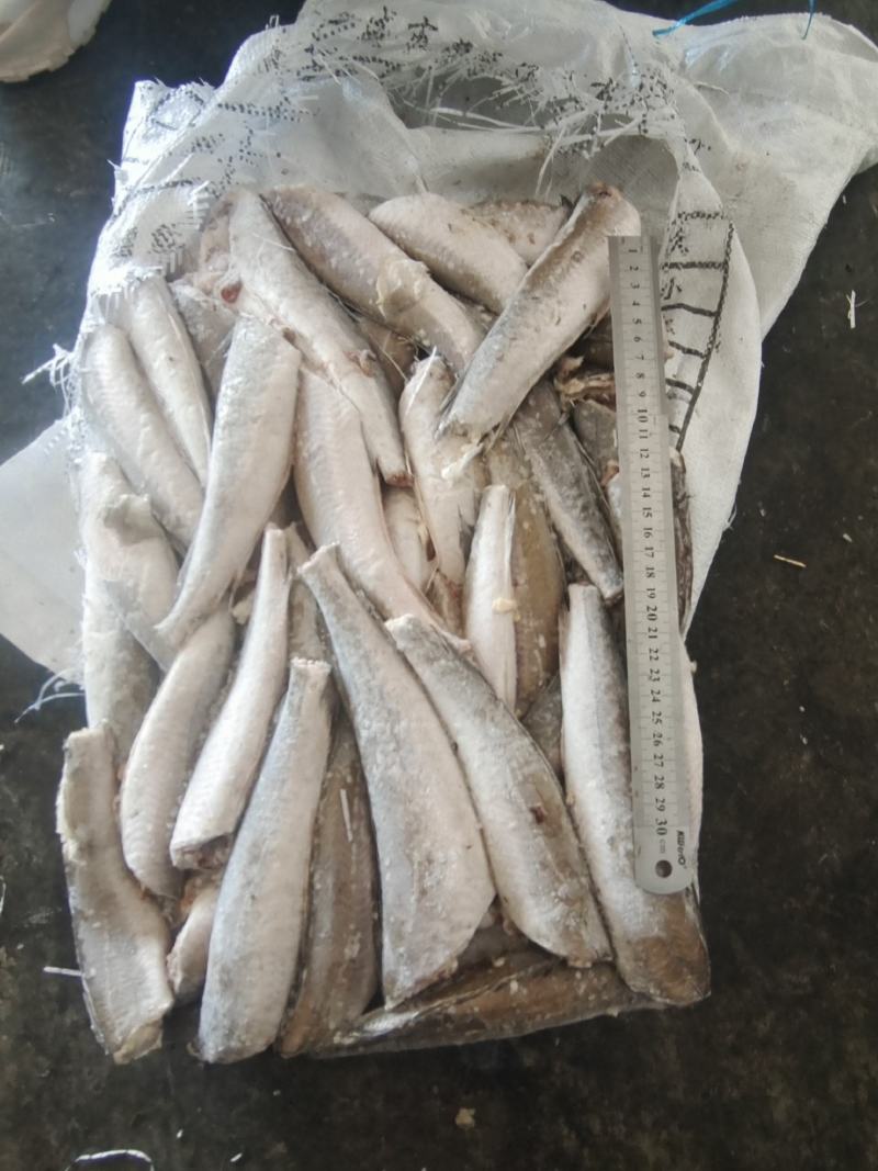 鳕鱼无须鳕鱼三去，船冻原料国产，价格请详询