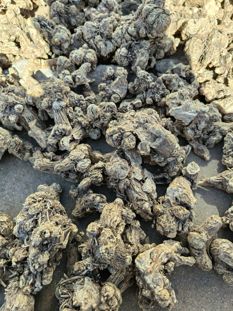 北苍术干货，苍术大货，苍术全光手选货。苍术光统货。