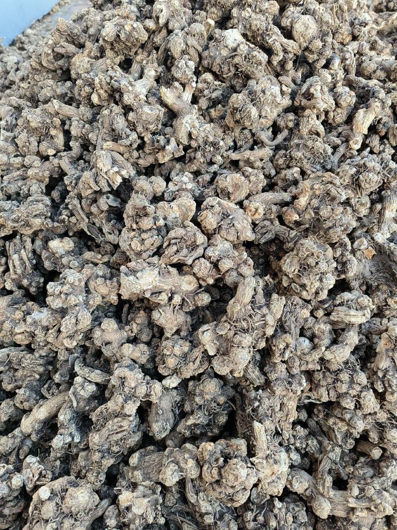 北苍术干货，苍术大货，苍术全光手选货。苍术光统货。