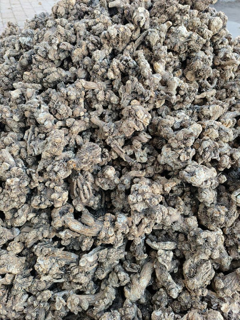 北苍术干货，苍术大货，苍术全光手选货。苍术光统货。