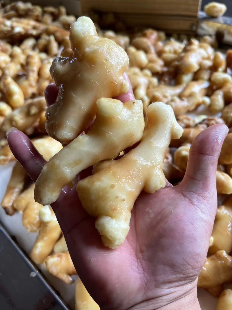 水洗姜巴姜段大量现货价格便宜包食宿一条龙服务