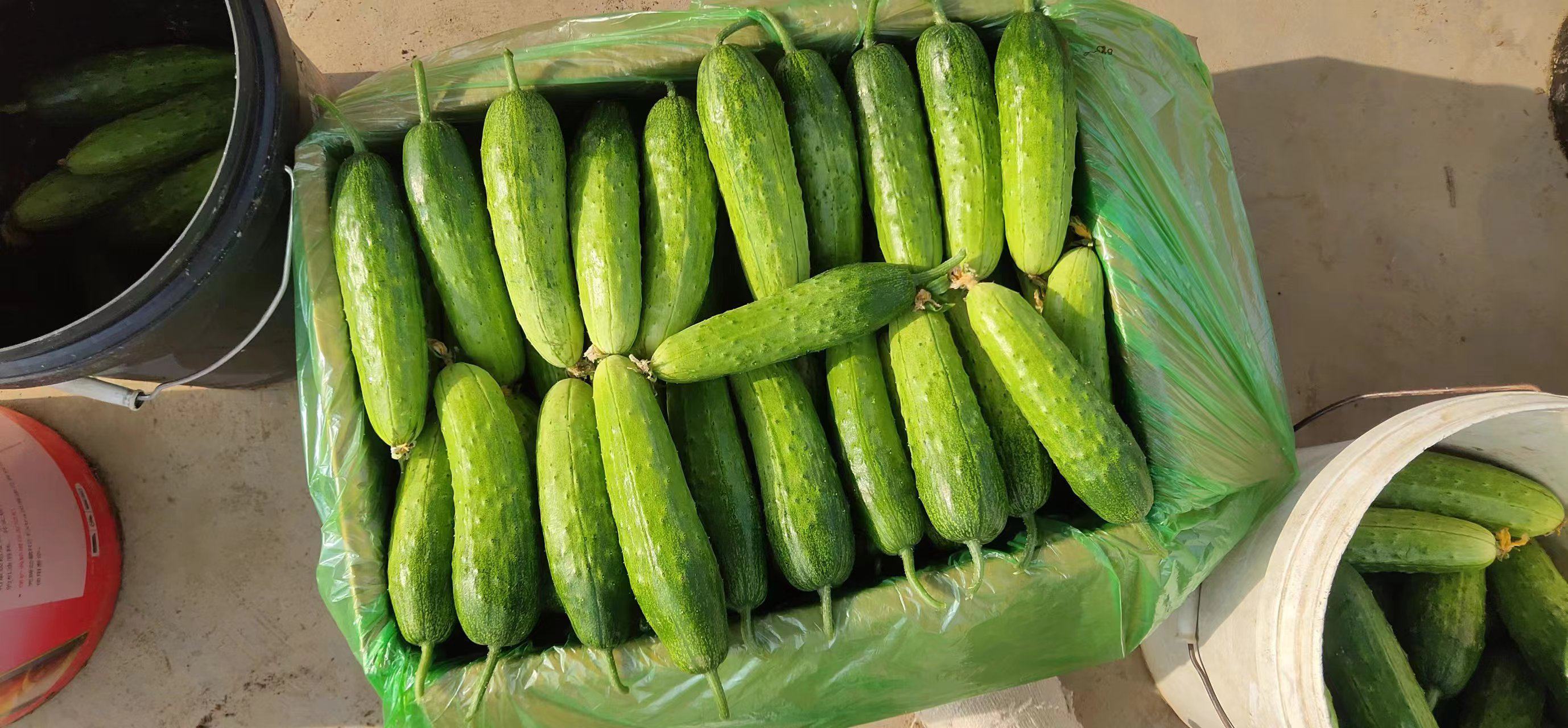西芹汁食材摆放顺序图