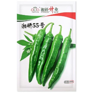 湘研55号辣椒种子中熟长牛角椒皮薄微皱软皮口感好微辣高产