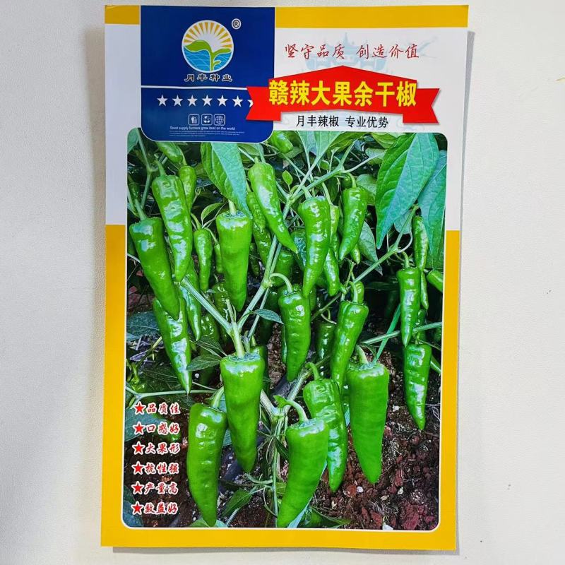 早熟余干椒种子美味土辣椒皮薄肉厚耐高温耐湿本地香辣小辣椒