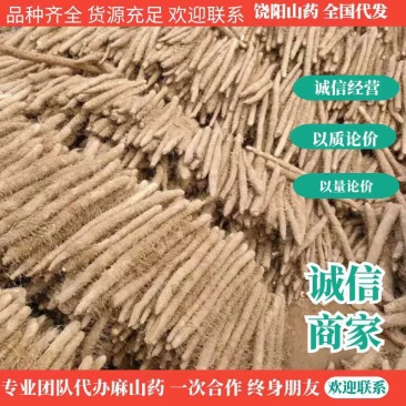 山药，河北饶阳麻山药大量上市发往全国，货源充足，质优价廉