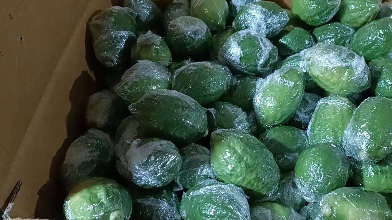 柠檬切片与保鲜膜包裹示意图