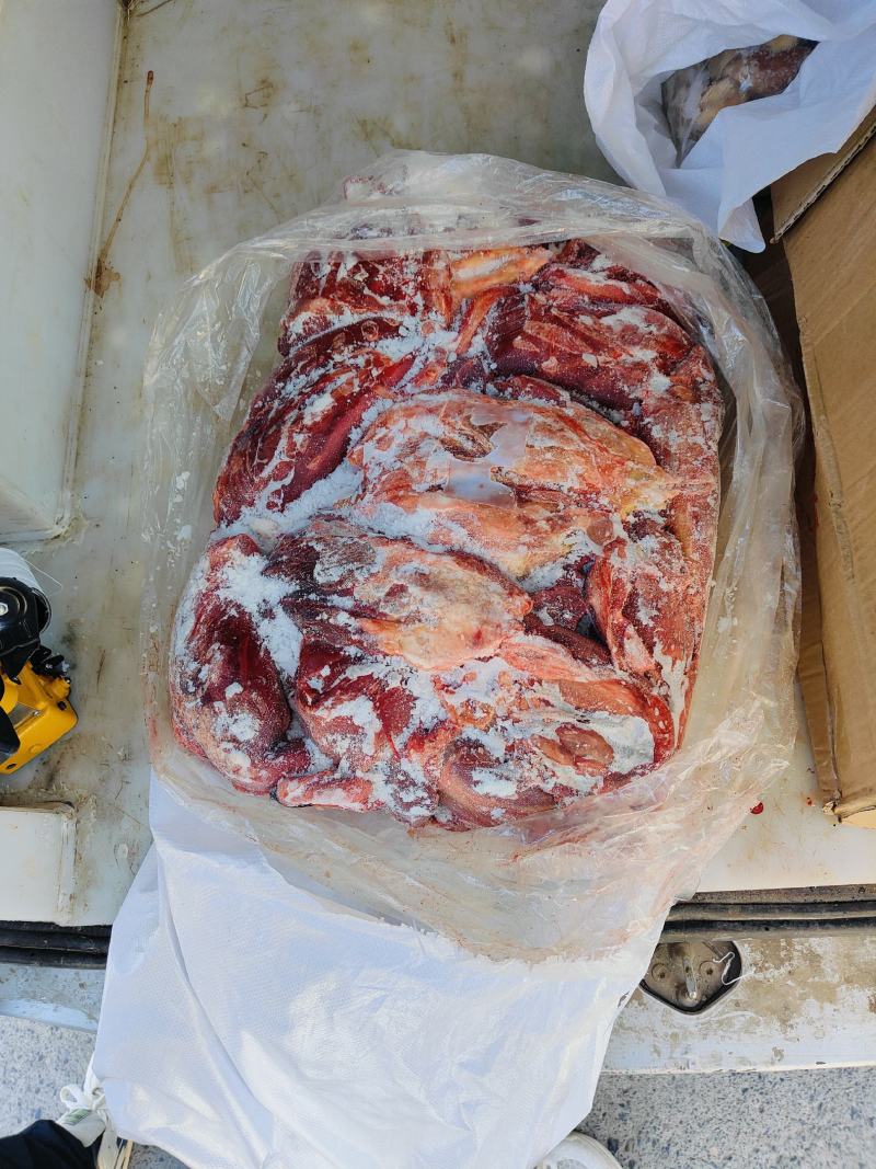 驴肉