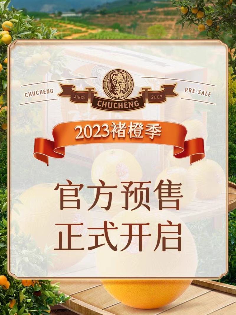 褚橙一件代发电商一件代发落地配社区团购