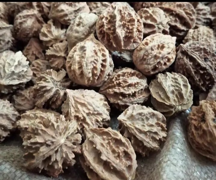 核桃壳堆叠特写