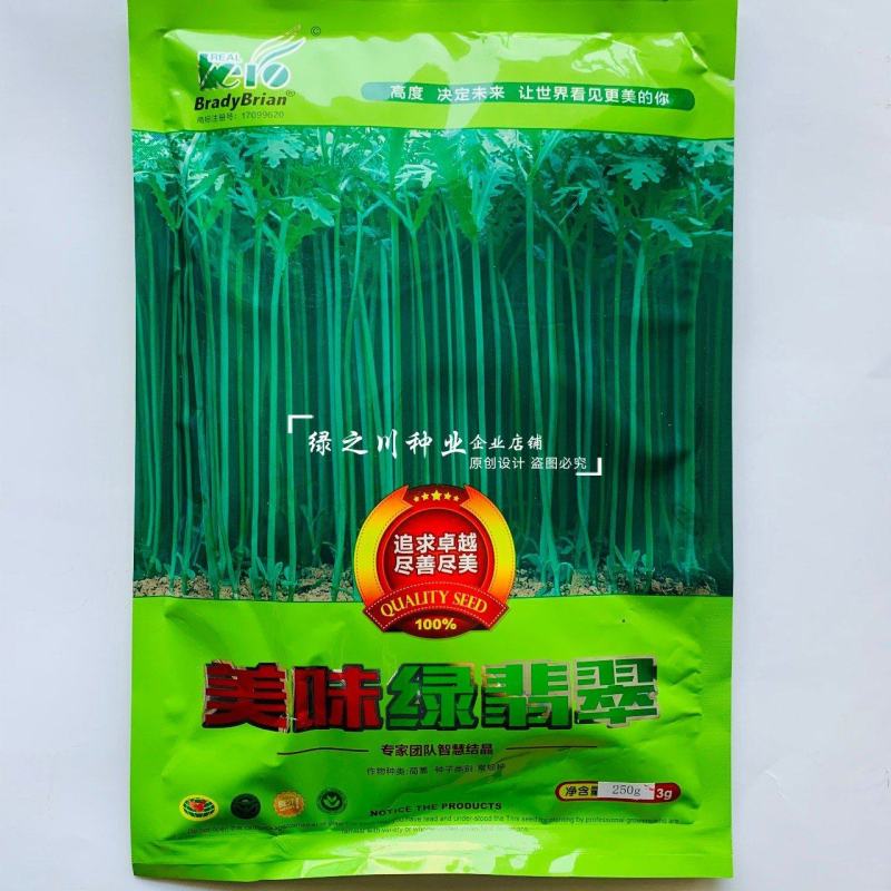 基地推荐小籽茼蒿菜种子美味绿翡翠光杆茼蒿种子基地专用