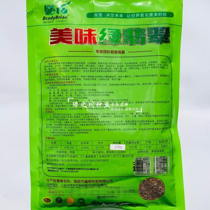 基地推荐小籽茼蒿菜种子美味绿翡翠光杆茼蒿种子基地专用