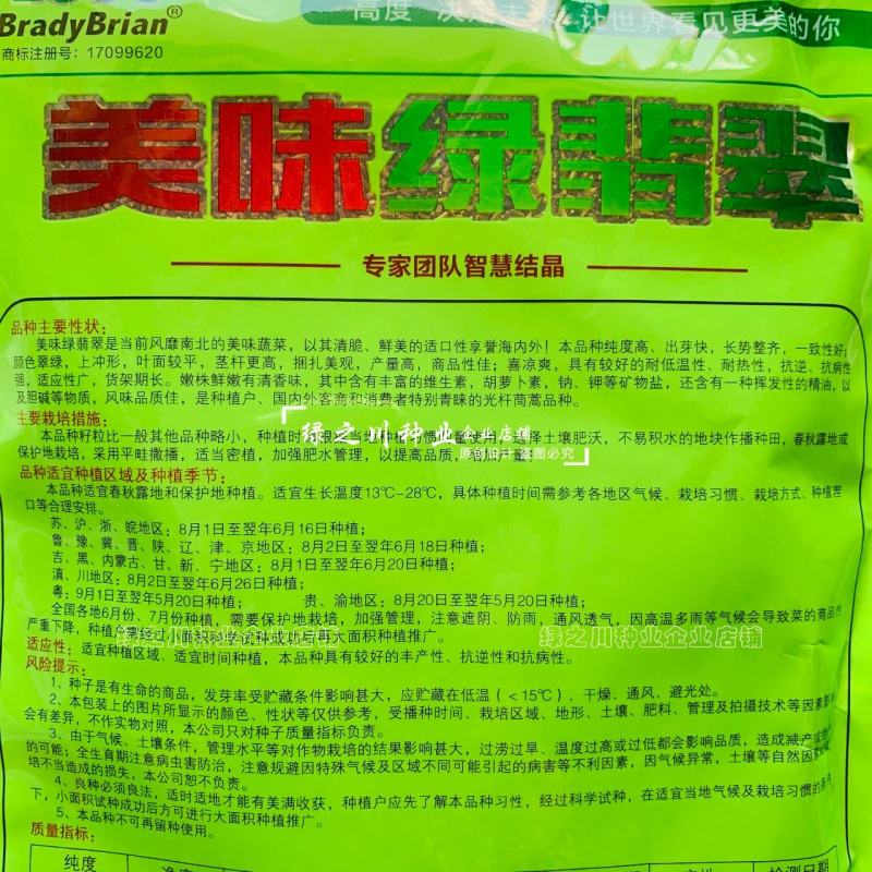 基地推荐小籽茼蒿菜种子美味绿翡翠光杆茼蒿种子基地专用