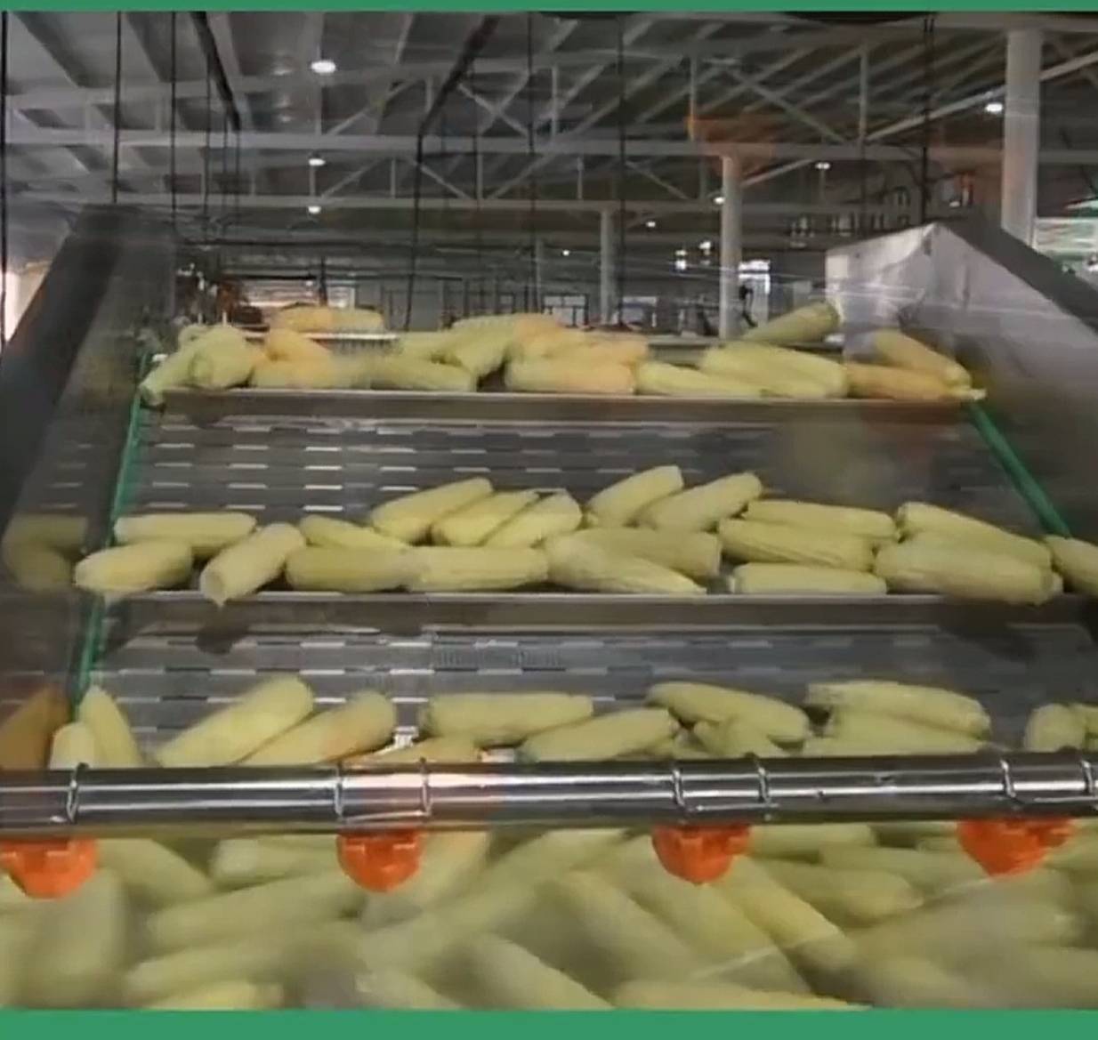 速冻甜玉米粒包装与营养标签展示