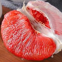 【三红柚】湖北优质红心蜜柚，口感甜，价格低，可视频看货