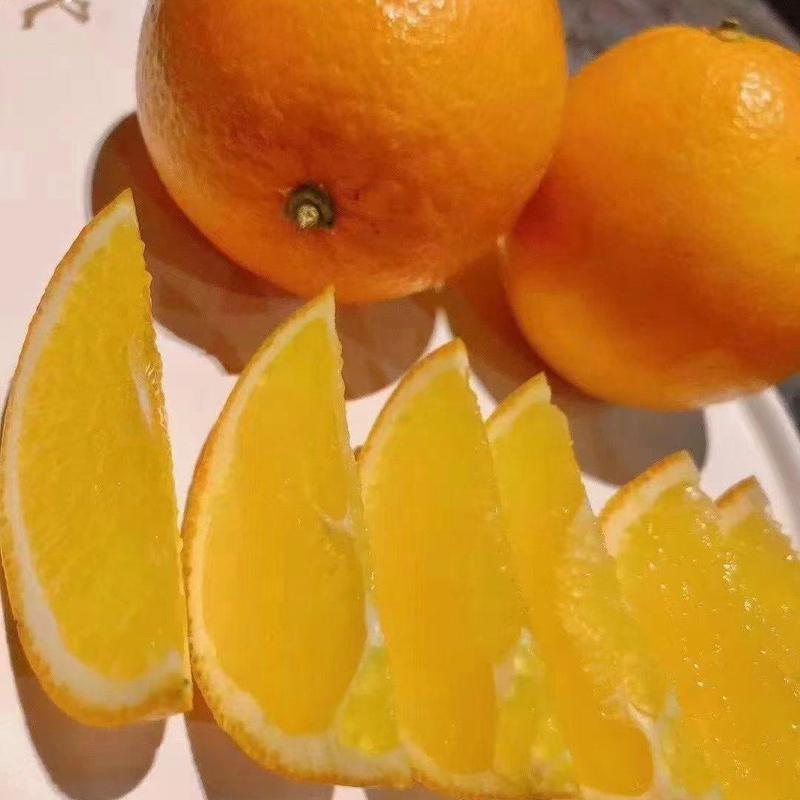 精品纽荷尔脐橙，湖北产地直供，价格便宜，诚信经营，欢迎来