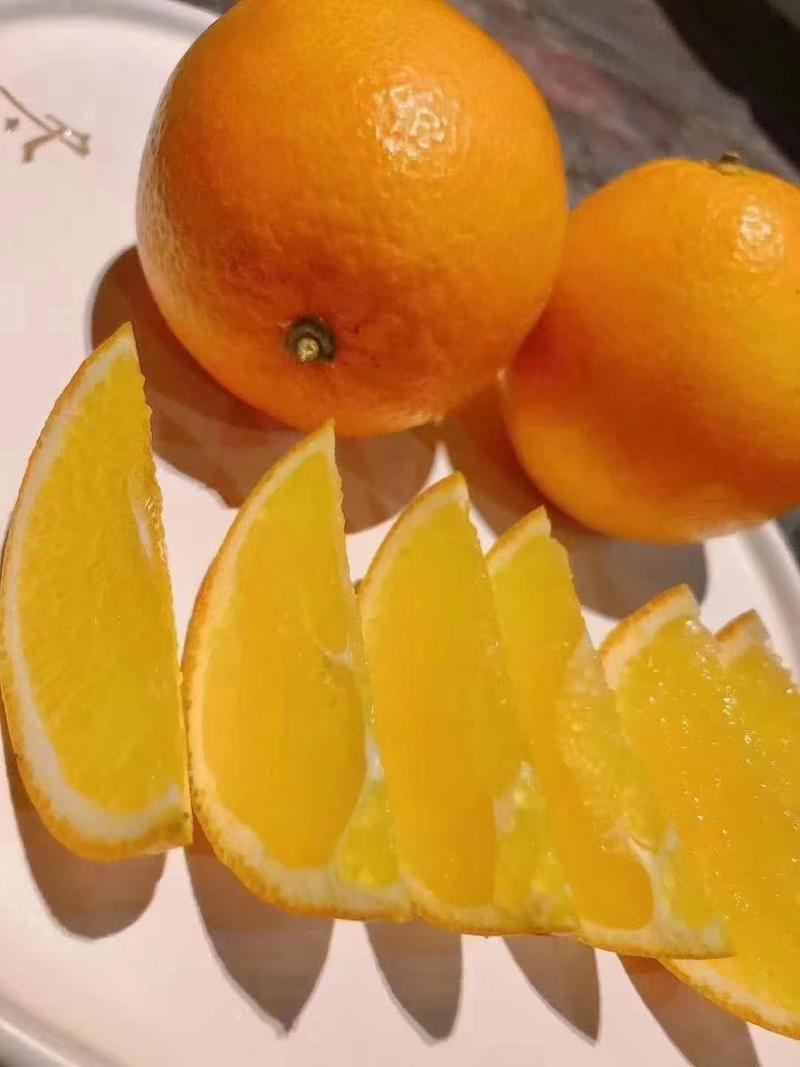 精品纽荷尔脐橙，湖北产地直供，价格便宜，诚信经营，欢迎来
