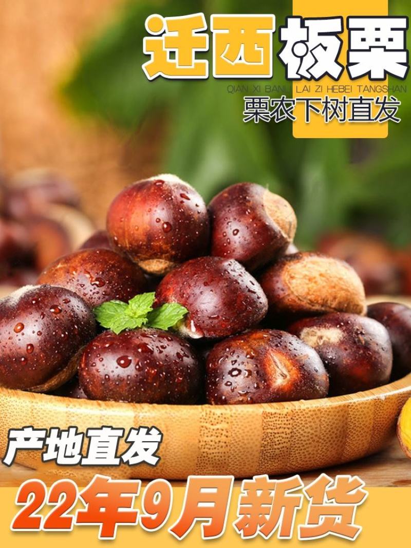 【3113元旦促销】正宗迁西板栗产地直发口感糯度香甜皮薄
