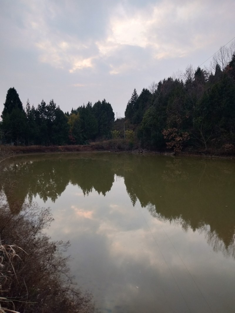 百亩金土地