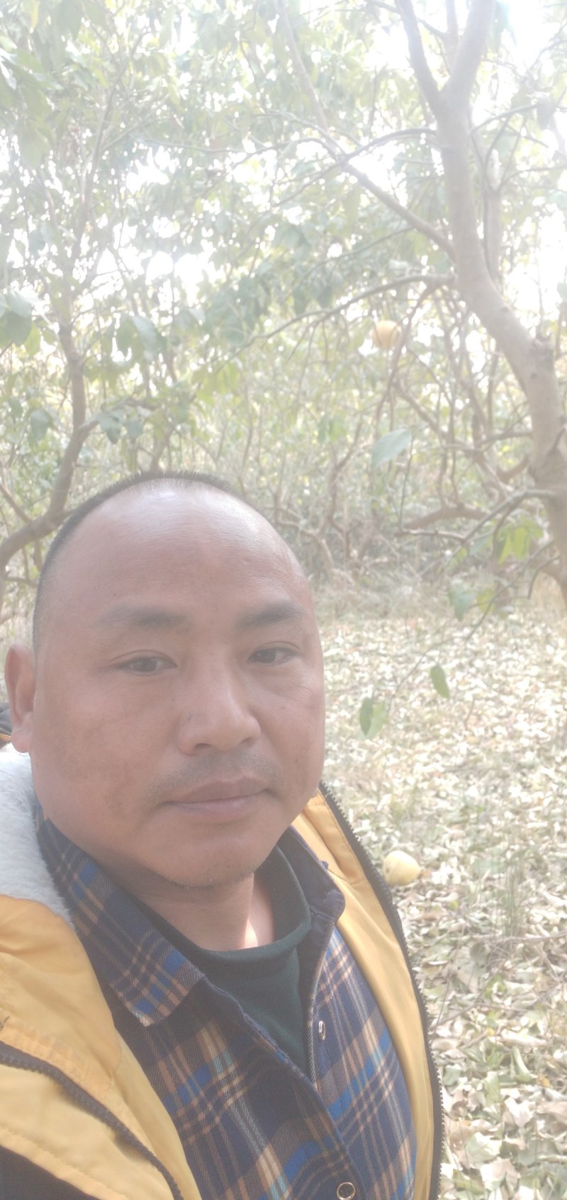 百亩金土地