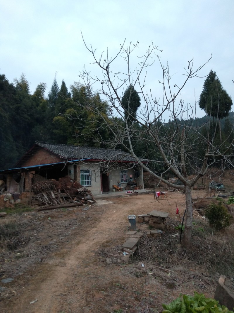 百亩金土地