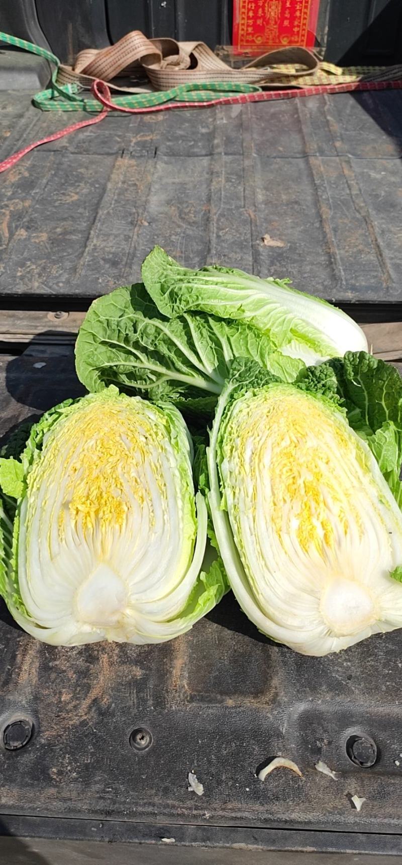 山地大白菜