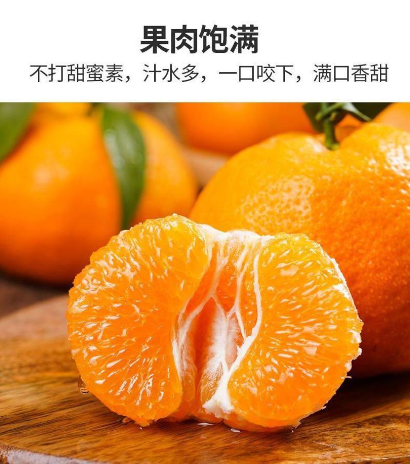四川柑橘不知火柑桔丑橘大量上市全网对接所有平台支持一件代