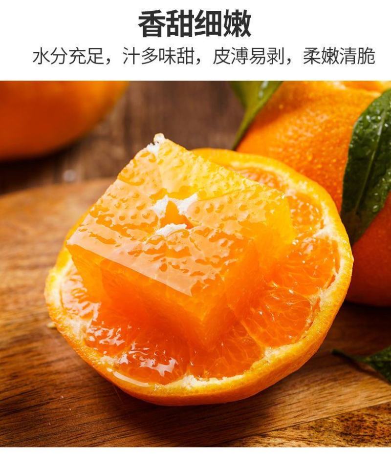 四川柑橘不知火柑桔丑橘大量上市全网对接所有平台支持一件代