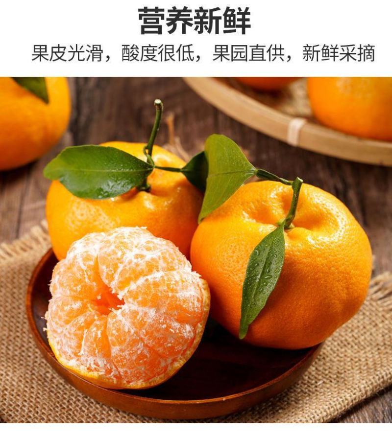 四川柑橘不知火柑桔丑橘大量上市全网对接所有平台支持一件代