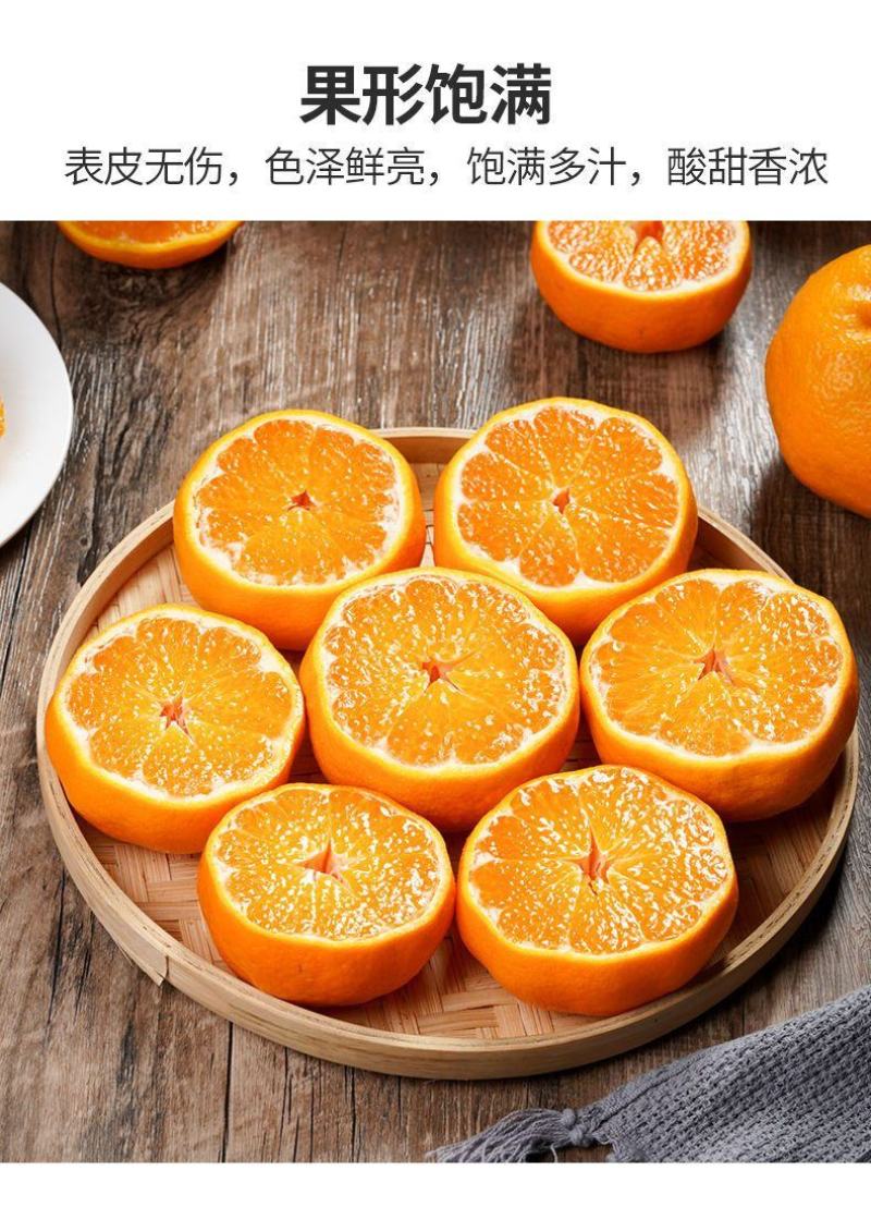 四川柑橘不知火柑桔丑橘大量上市全网对接所有平台支持一件代