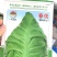 牛心甘蓝种子翠叶尖峰品质型大球尖顶外叶翠绿黄芯脆嫩