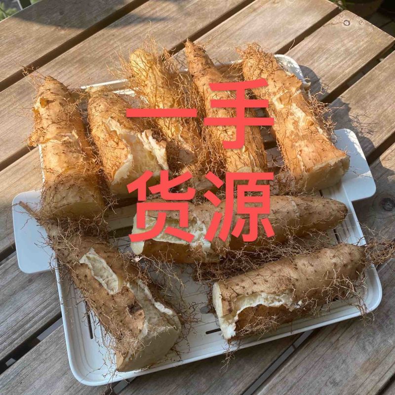 广东毛薯甜薯毛山药