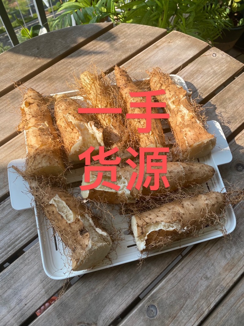 广东毛薯甜薯毛山药