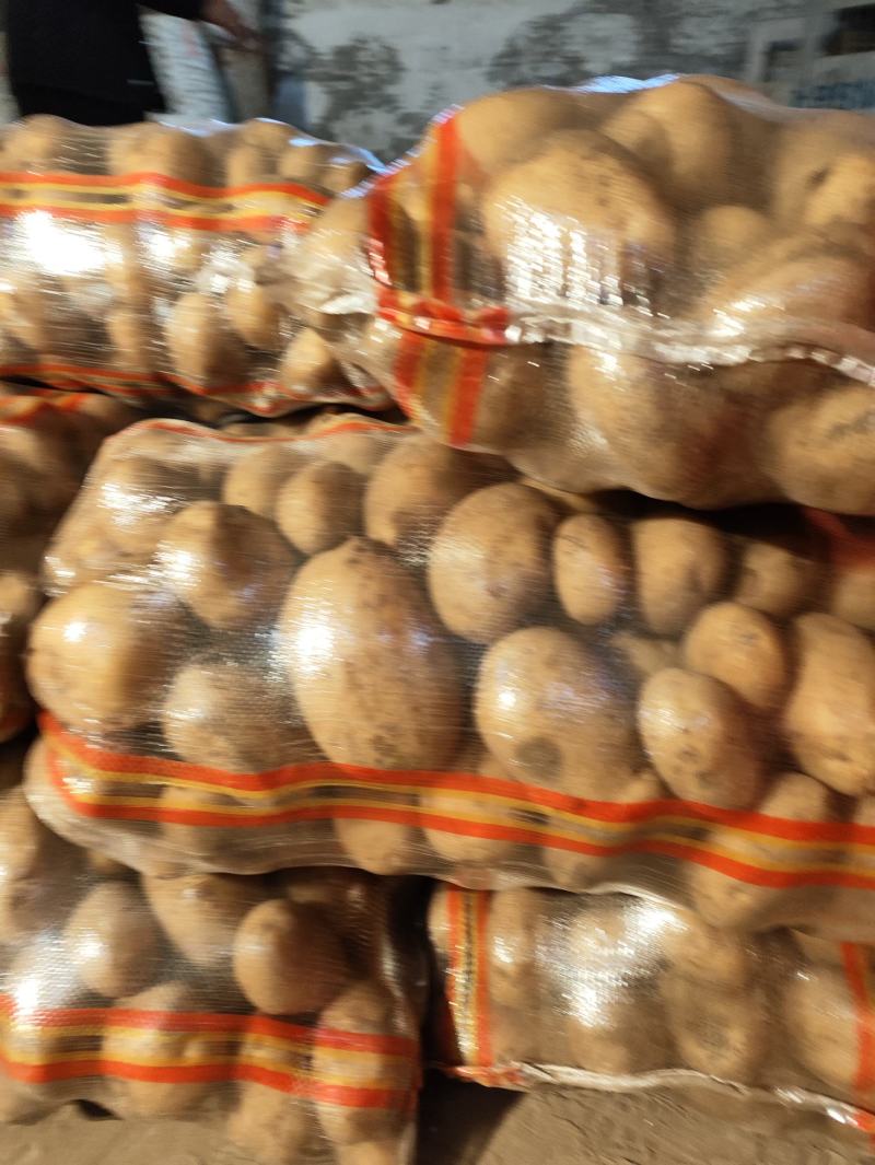精品实验一大量出货中沙地质量杠杠的欢迎老板来海拉尔！