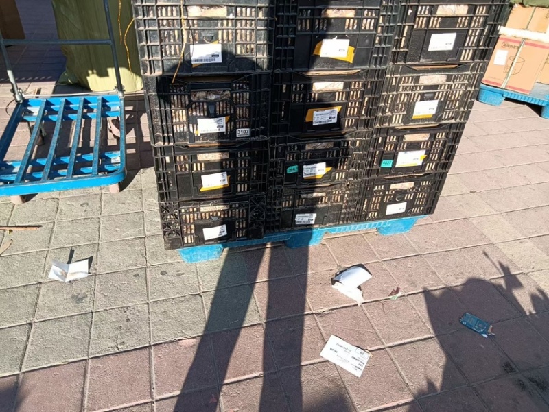 一手货源大量批发，五种颜色