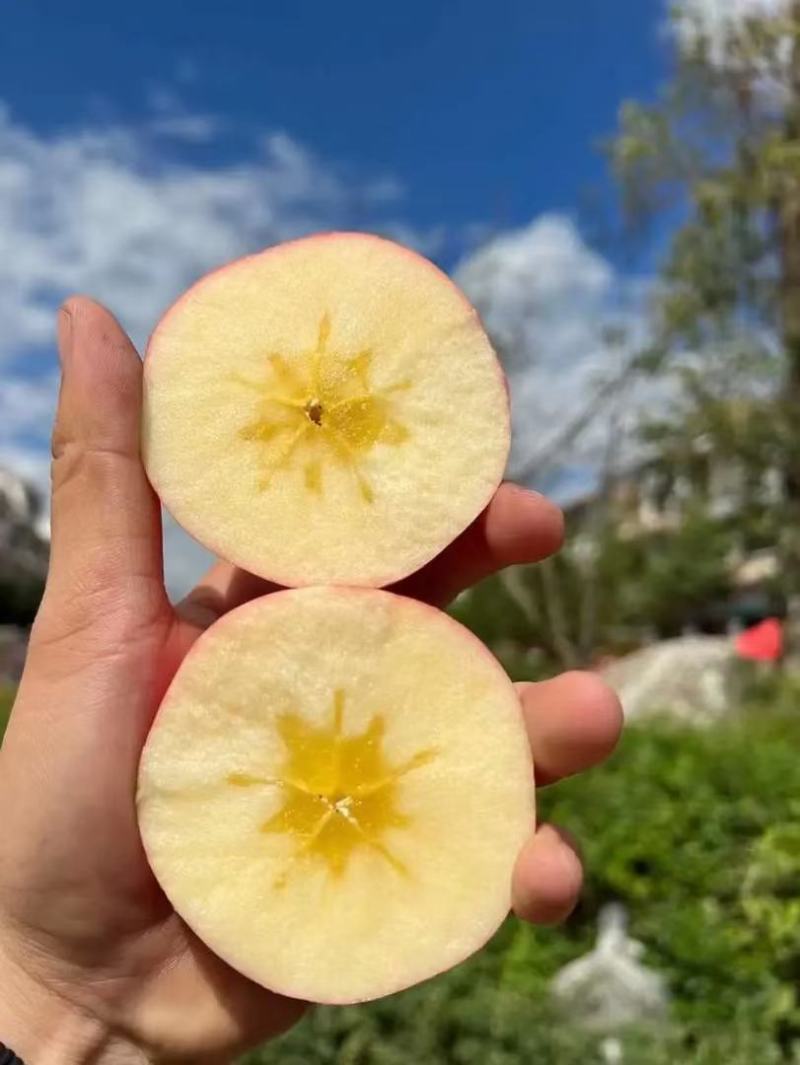 云南昭通冰糖心苹果。丑苹果，樱桃苹果代办代发整车团购