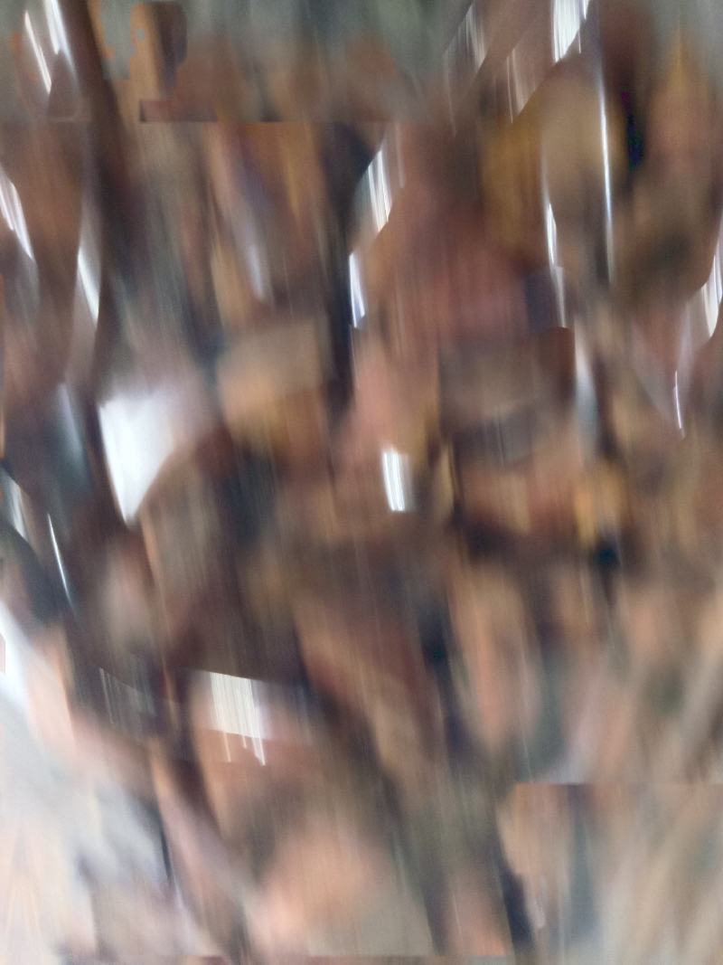 猪蹄甲，炙猪蹄甲，实拍，现货，24小时内发货