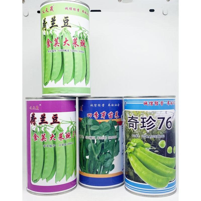 奇珍76甜豌豆种子耐寒高抗白粉病食荚豌豆苗种500克原装