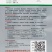苏崎一号茄子种子耐低温黑紫长棒型紫黑长茄种子原装发货