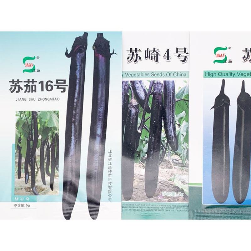 苏崎一号茄子种子耐低温黑紫长棒型紫黑长茄种子原装发货