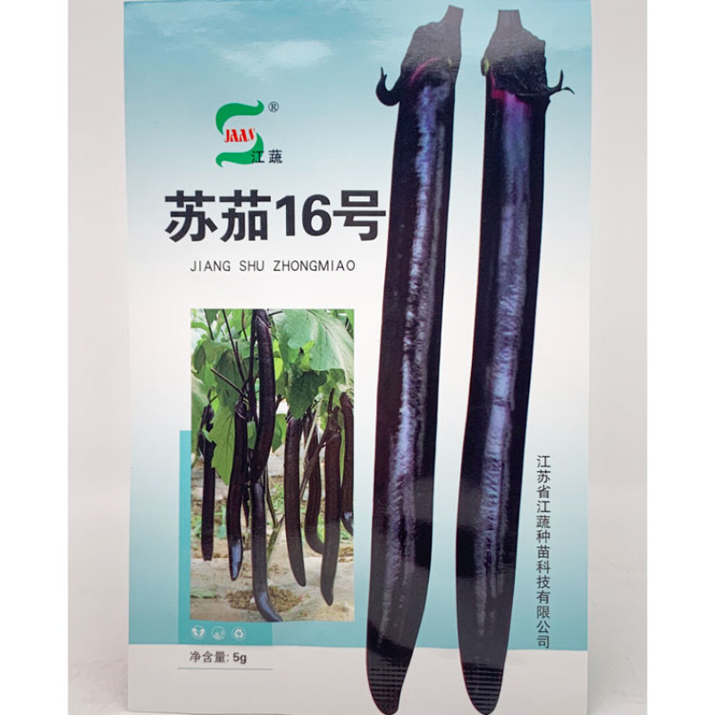 苏崎一号茄子种子耐低温黑紫长棒型紫黑长茄种子原装发货