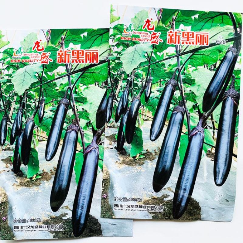 龙盛新黑丽黑紫长棒型茄子种子早熟顺直籽少黑长茄种原装发货