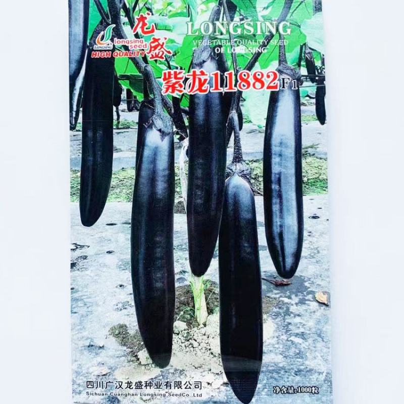 龙盛新黑丽黑紫长棒型茄子种子早熟顺直籽少黑长茄种原装发货