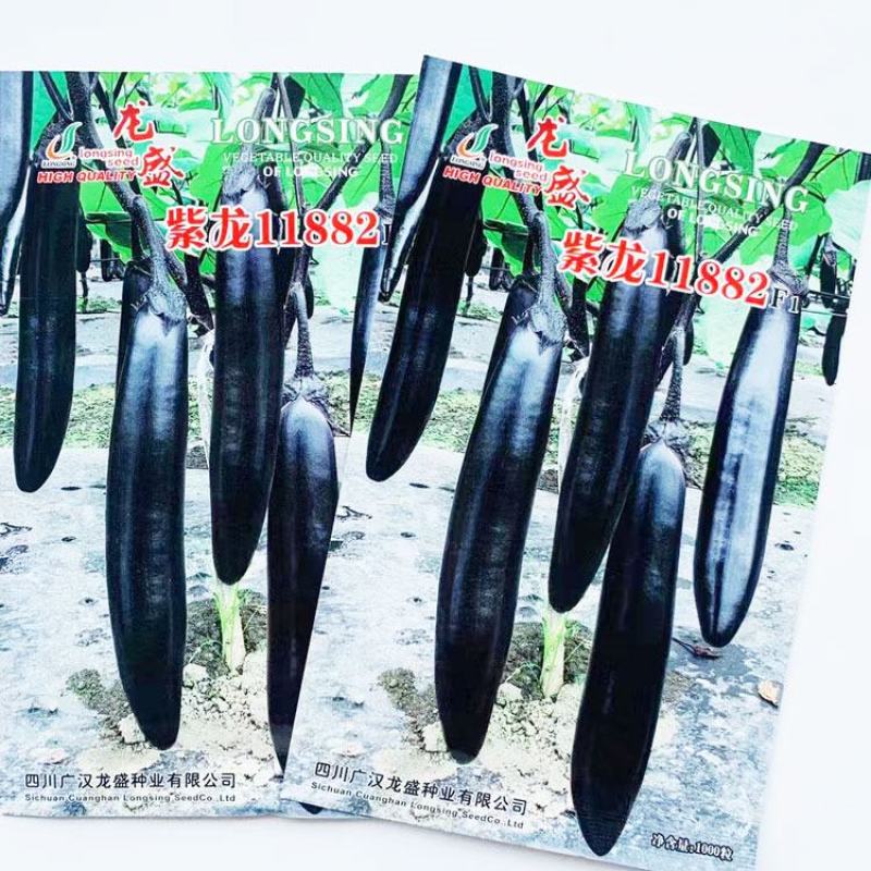 龙盛新黑丽黑紫长棒型茄子种子早熟顺直籽少黑长茄种原装发货