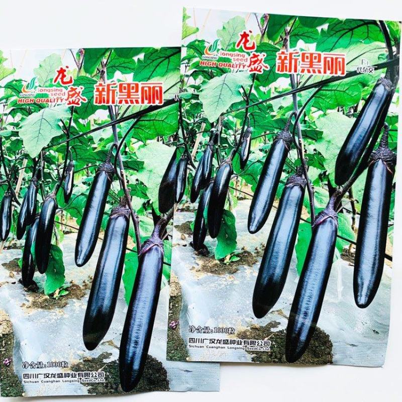 龙盛新黑丽黑紫长棒型茄子种子早熟顺直籽少黑长茄种原装发货