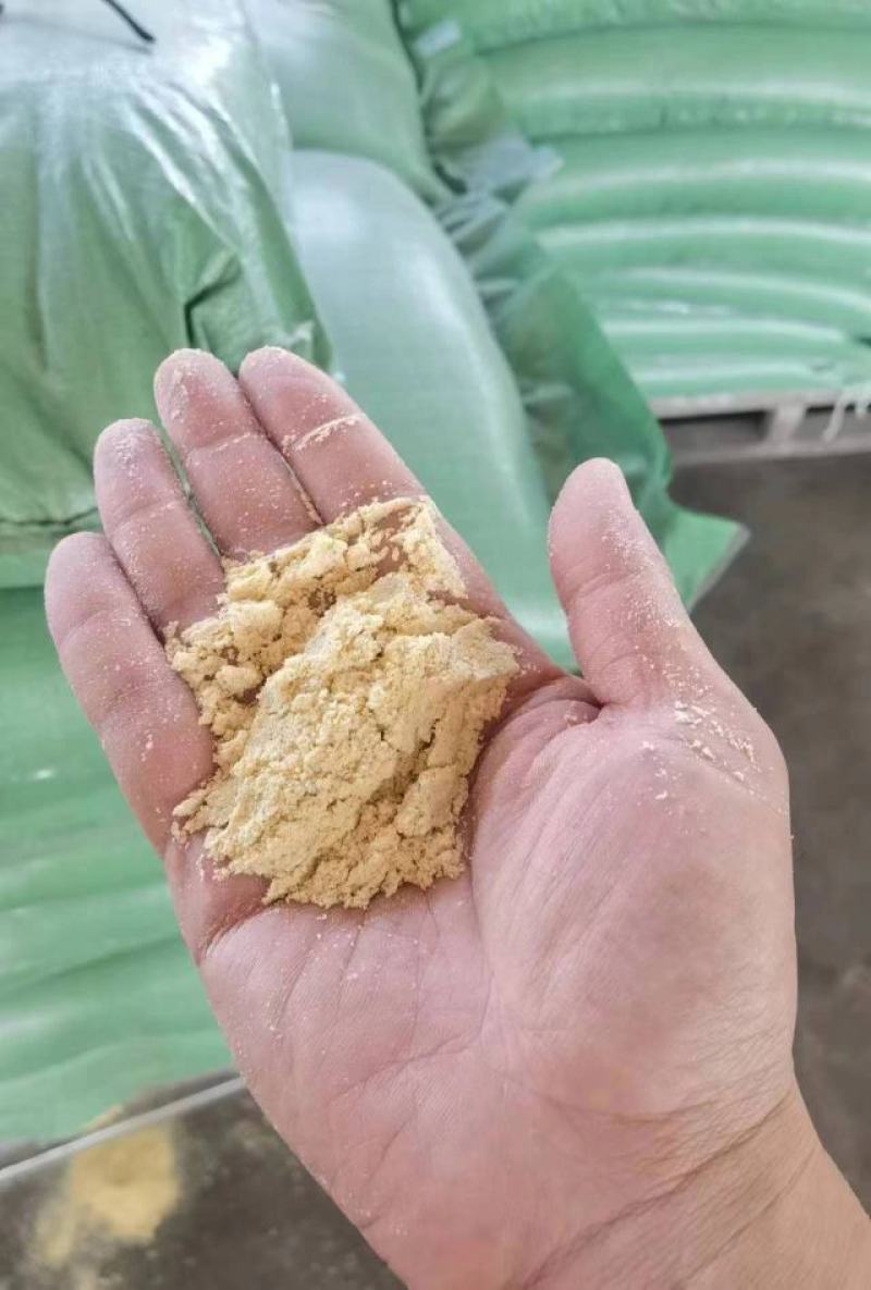 精品玉米面，大量现货。今年新货。全国可发