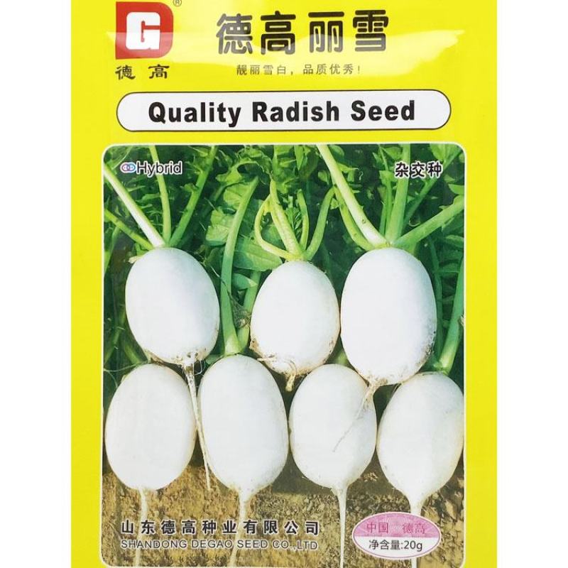 德高高尔福白萝卜种子早熟白皮白肉薄皮近球形萝卜种原装发货