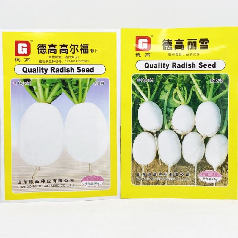 德高高尔福白萝卜种子早熟白皮白肉薄皮近球形萝卜种原装发货