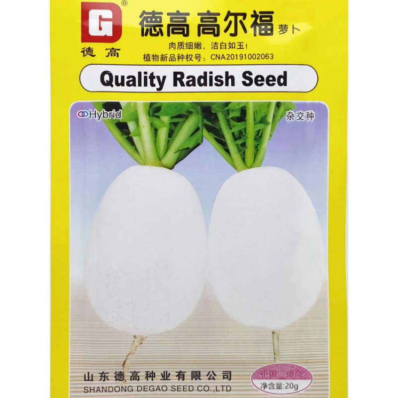 德高高尔福白萝卜种子早熟白皮白肉薄皮近球形萝卜种原装发货