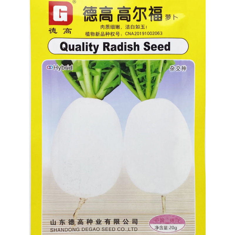 德高高尔福白萝卜种子早熟白皮白肉薄皮近球形萝卜种原装发货